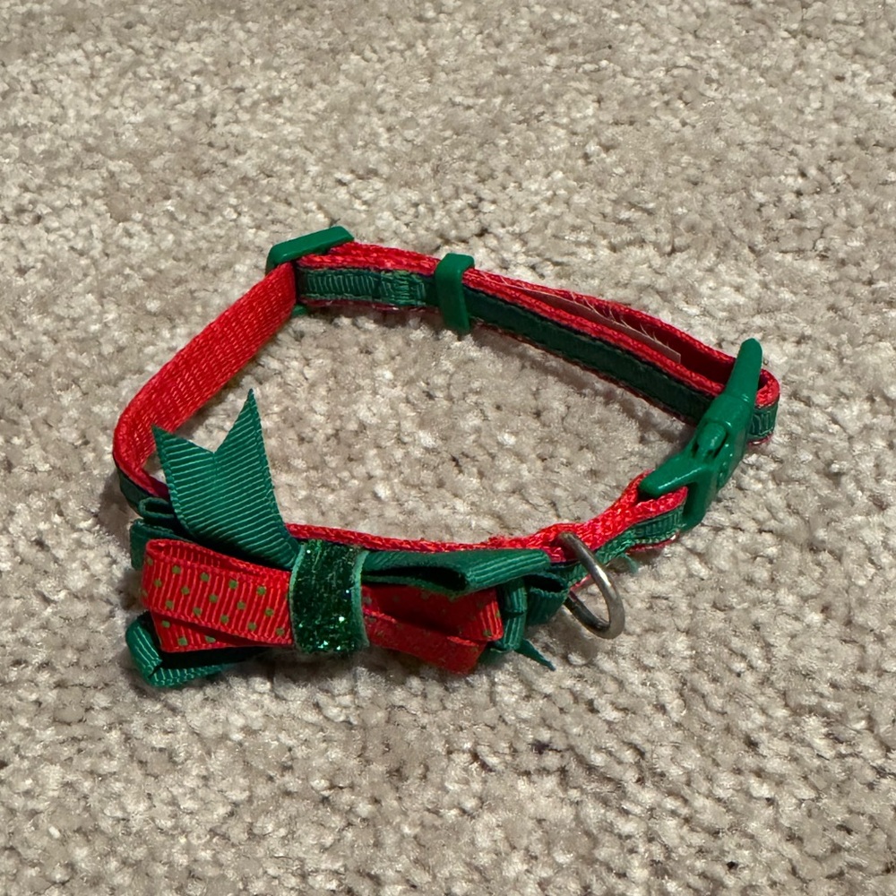 PetSmart Dog Collar